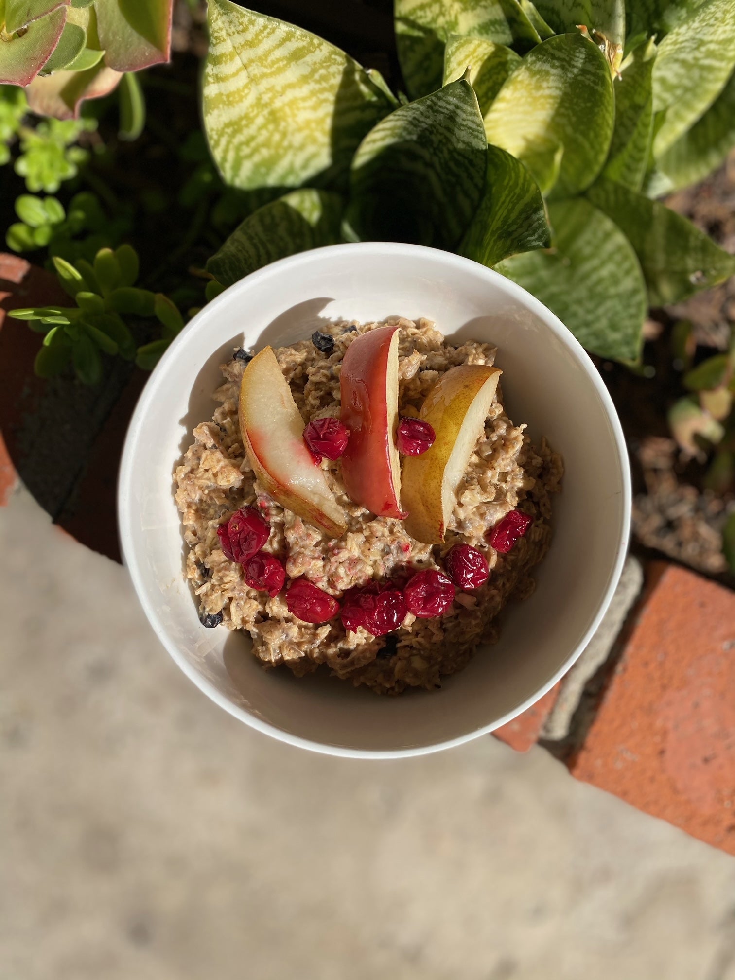 Spiced Oatmeal with Roasted Fruit