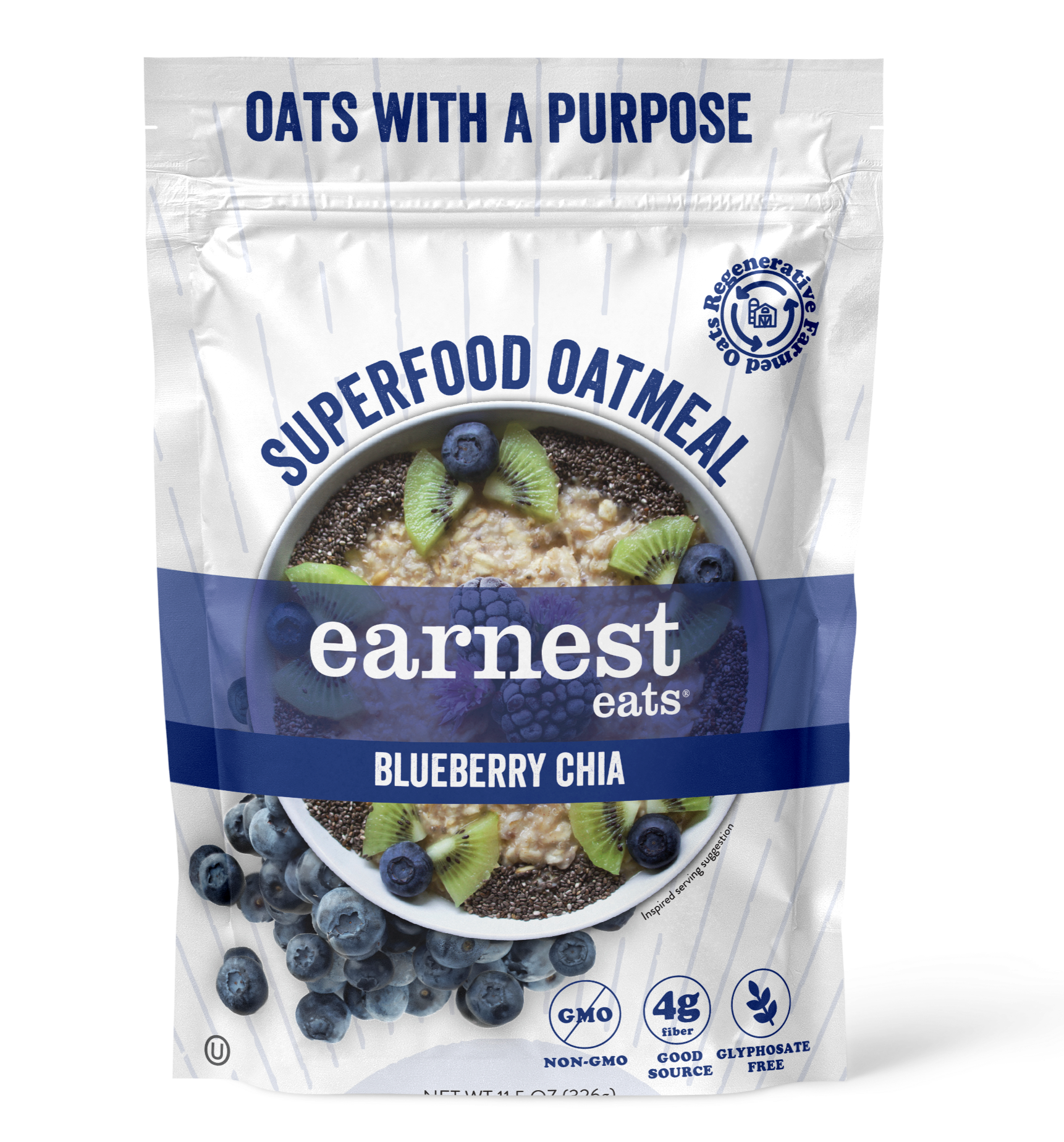 Blueberry Chia Superfood Oatmeal Bags
